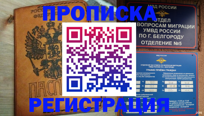 прописка для работы в Бавлах